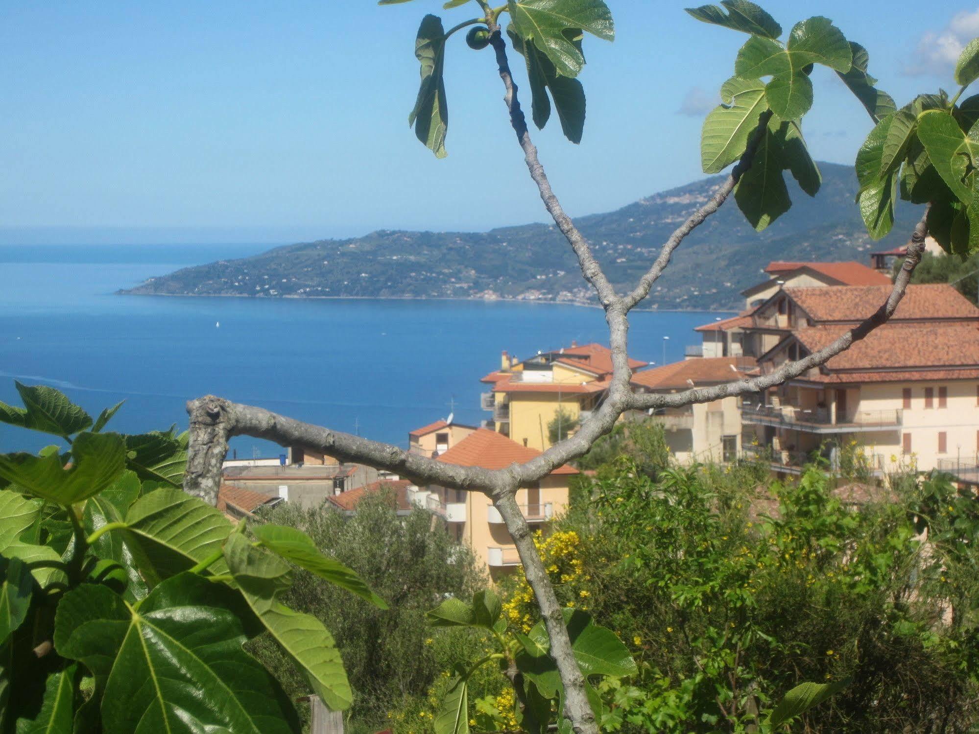 Villa Santa Sofia Ascea Luaran gambar